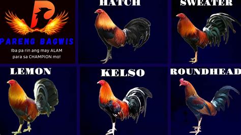 gamefowl bloodlines in the philippines|Game Fowl .